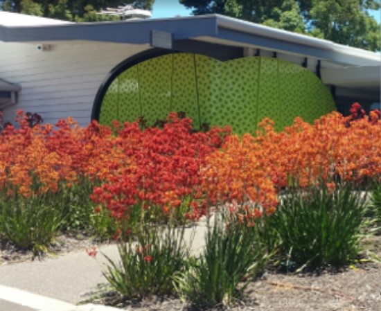 Photo of Donnybrook Medical Services