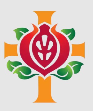 Logo of St John of God Richmond Hospital